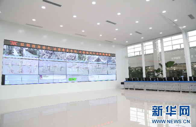 强信心·走进百企丨mg冰球突破药业：“数智化”助力中医药开启发展新篇章